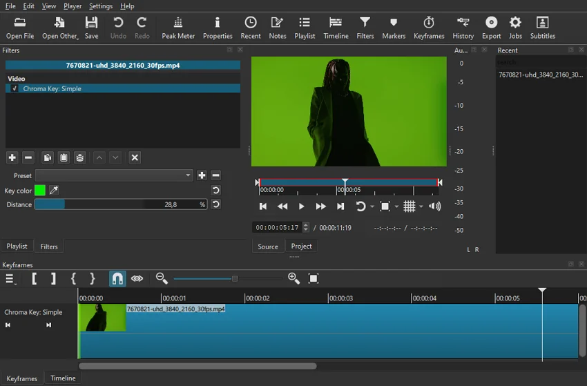 Desktop green screen editor