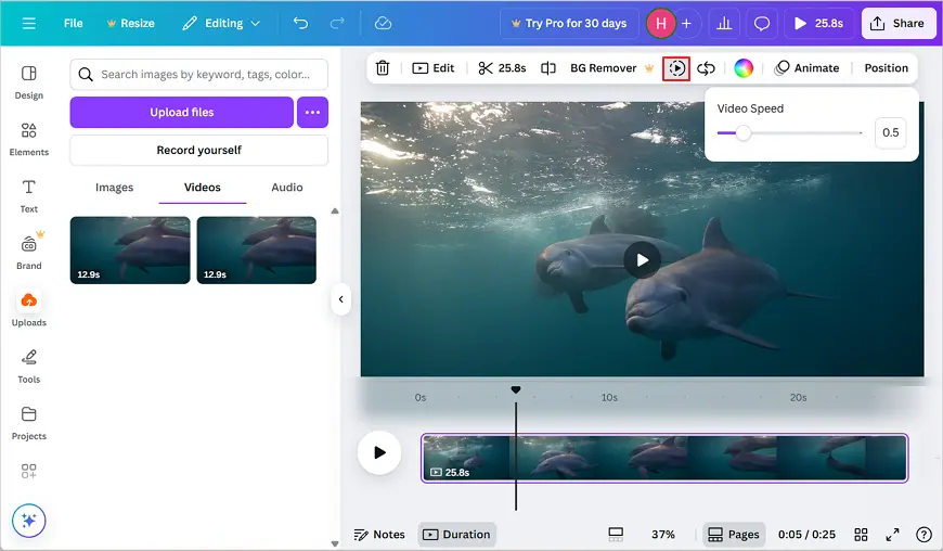 Utilisez Canva pour ralentir une vidéo en ligne de façon rapide