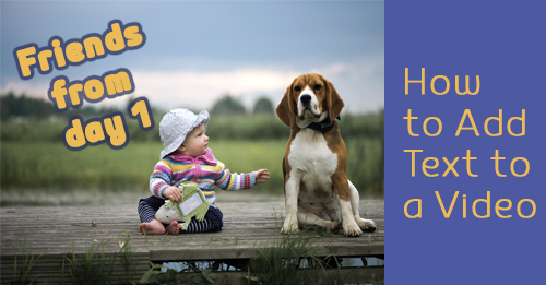 TEXT BILD UND VIDEOGR EN NDERN ZOOMEN visual data 3