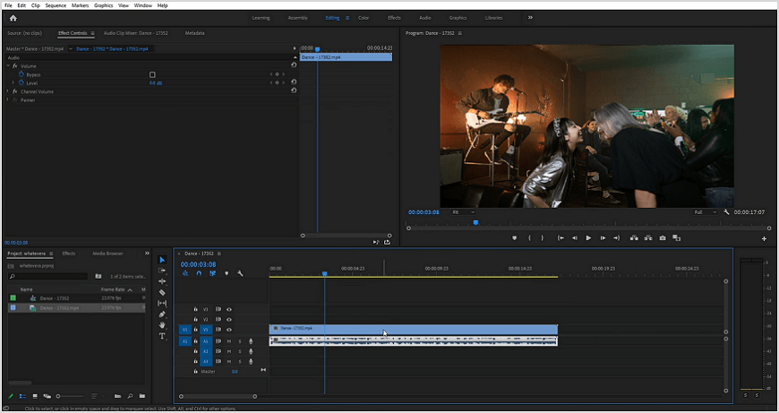 Use Premiere Pro for removing sound