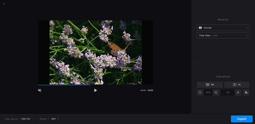 Redimensionnez votre vidéo avec des bandes noires à l'aide d'un outil en ligne